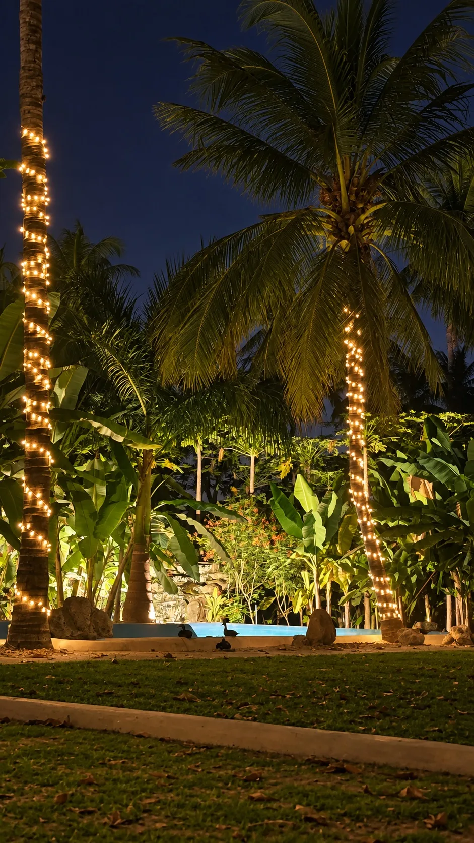 Palm garden illuminated at night — Standard villa, Casa di Legno Resort
